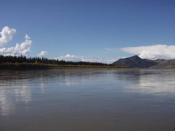 YUKON – 2011 | Sticky Hooks
