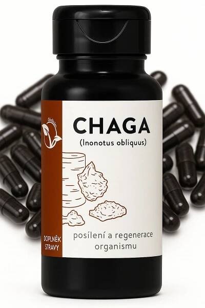 Chaga extrakt 300 mg – 100 kapslí