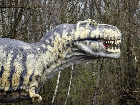 VIDEO: Tyrannosauři v akci. DinoPark u Ostravy opět otevřel své brány