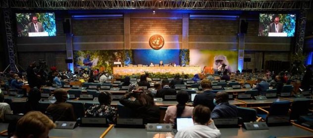 UN Environment Assembly and Governing Council sessions