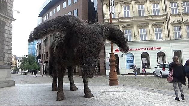 Radši hororové ilustrace než princezny, říká o výstavě v Liberci umělec Skála