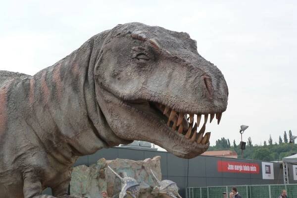 Fotografie - Dinopark Praha - 02.08.2015