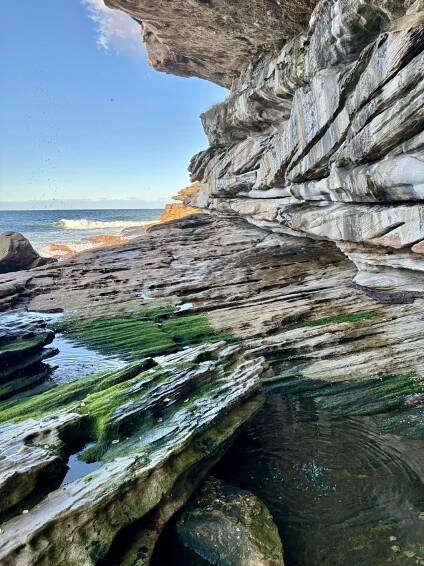 tide pools on Tumblr