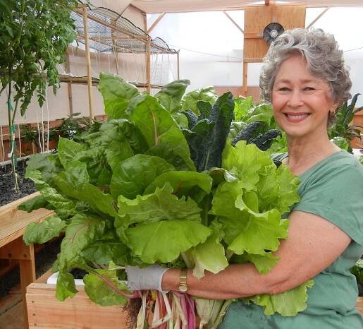What You Can Grow in a Portable Farm
