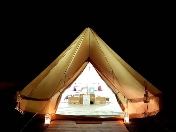 Wild Night Camp - Wild Tipi
