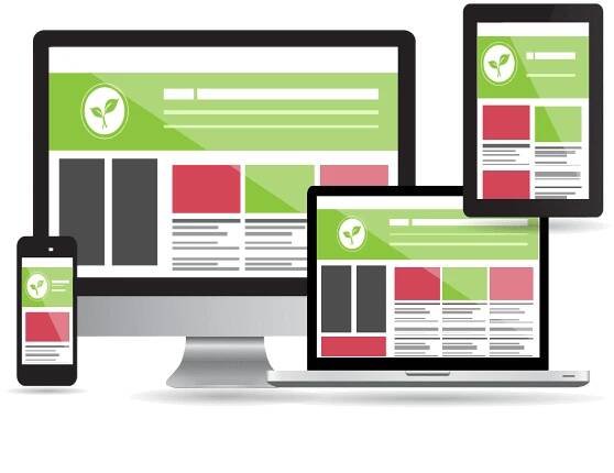 Responsive Website Design Company in Noida Delhi