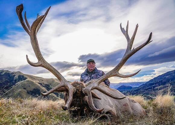 Elk (Wapiti) Hunting in New Zealand | Venator Safaris