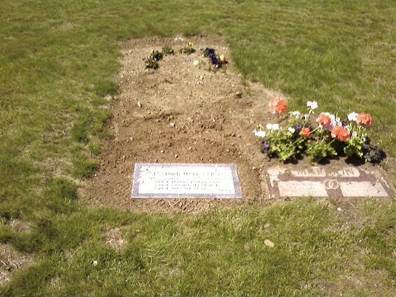 Location of Stanford Mark Larsen's Grave