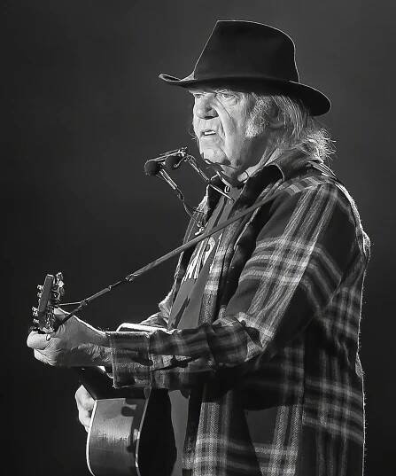 Neil Young Vinyl CDs