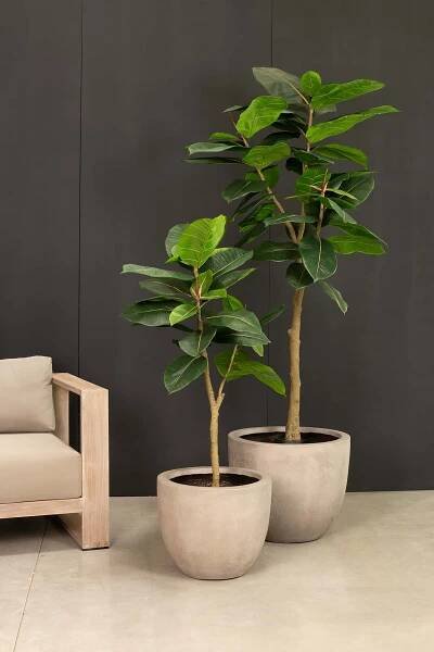 Ficus Elastica - Gummibaum Kunstpflanze, große Blätter, UV Stabil, Höhe 120 cm 