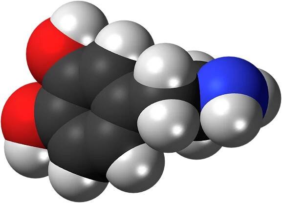 Dopamine