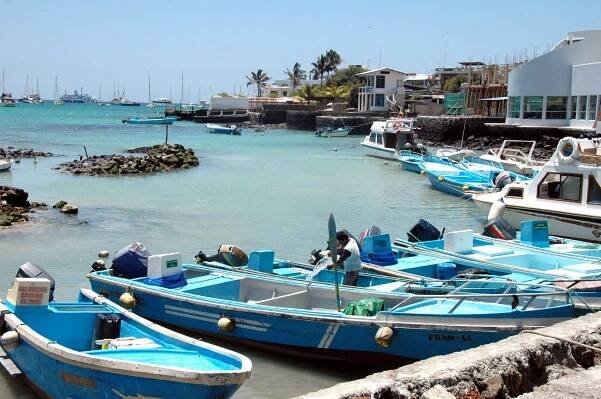 Who lives in the Galapagos Islands?