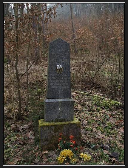Javoříčko