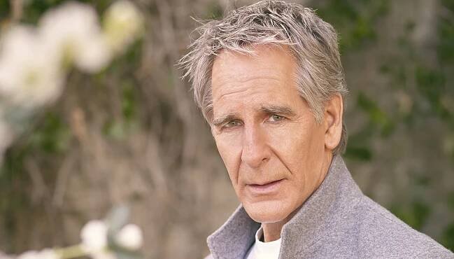 Scott Bakula To Star Opposite Ariana DeBose In Off Broadway Musical