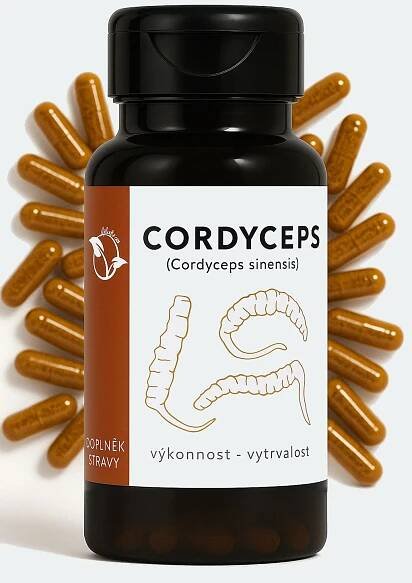 Cordyceps extrakt 300 mg – 100 kapslí