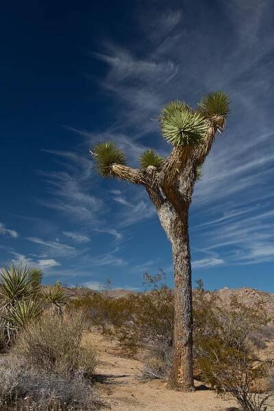 Open Edition Collection - Marshall J Vanderhoof Photography