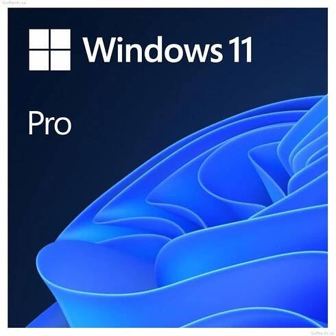 FQC-10550 - Windows 11 Pro - Licence - 1 licence - OEM - | Softech.cz 