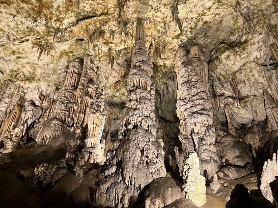 Postojna Cave, Slovenia: Complete Guide to Exploring