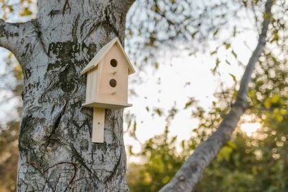 Jak postavit budku pro ptáčky? ptaci budka na strome
