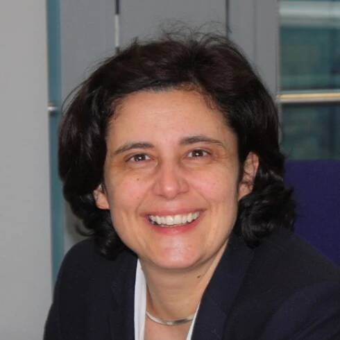 Telma Carvalho - Complex Nanophotonics Science Camp