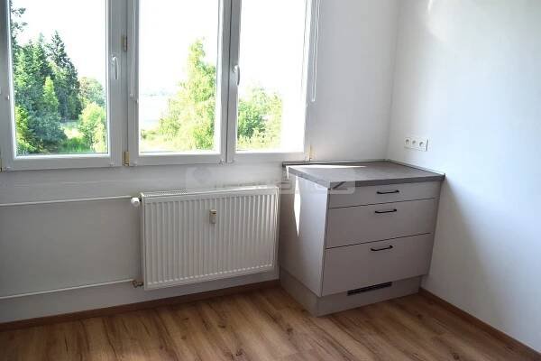 Slunný byt po rekonstrukci k pronájmu – Nepomuk - 3