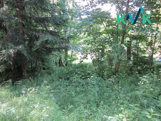 Prodej pozemku o velikosti 3 489 m2, v OV, Tisová u Nejdku | Reality.iDNES.cz 
