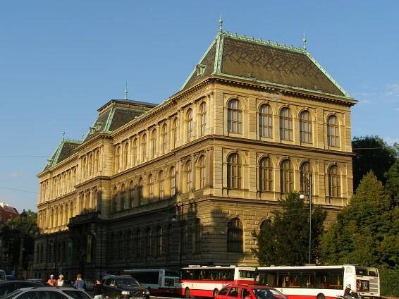 Všechny příspěvky 