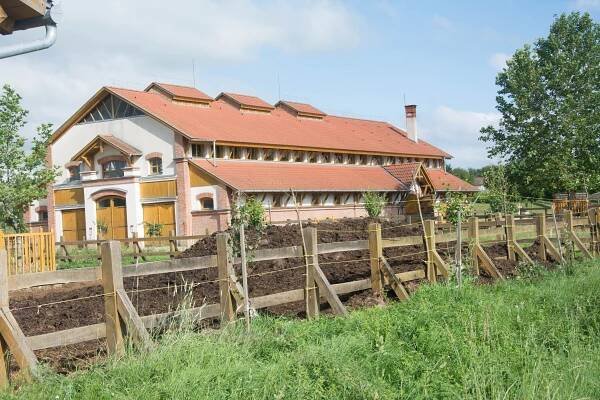 Savyasaci Prabhu v Brně | Foto | Prabhupád Bhavan
