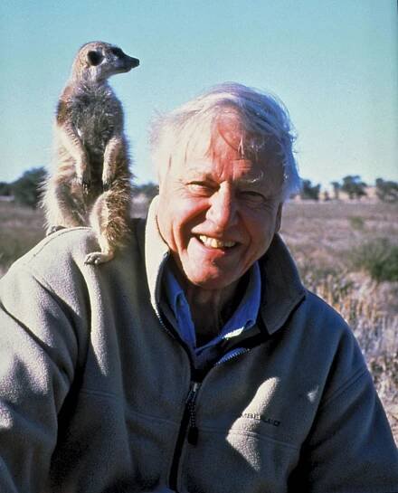 RECENZE: David Attenborough v dokumentu Život na naší planetě předkládá řešení, jak zachránit planetu Zemi | Dobrý Zprávy