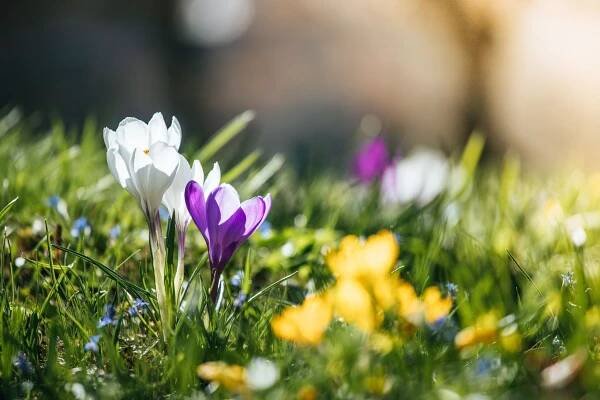 O víkendu až 20 stupňů a na začátku května výrazné oteplení, slibují meteorologové