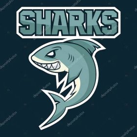 Hungry shark, angry shark, cartoon shark, shark great, white shark, shark wiith big teeth, shark image, shark fin, shark fish, shark attack. Vector. Sharks logo, emblem for a sport team.