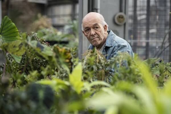 How to Watch ‘Breaking Bad,’ ‘Scarface’ in Honor of Mark Margolis
