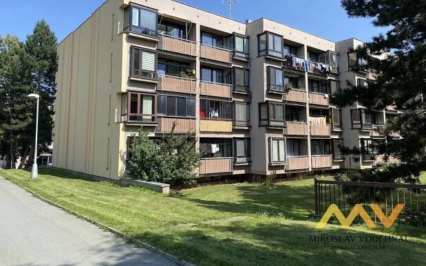 3+1, Pod Zámečkem, Hradec Králové, 80 m²