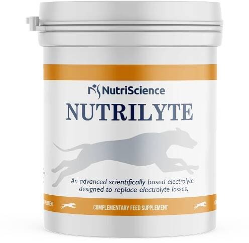 NUTRISCIENCE NUTRILYTE 400g