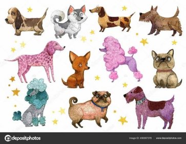 Stáhnout - Akvarel psí sbírka, Pes plemeno kliparty. Barevné roztomilé psy v kresleném stylu.Francouzský buldok, dalmatský, čivava, jezevčík, Laika, roztomilý pug, teriér, pudl pes. — Ilustrace