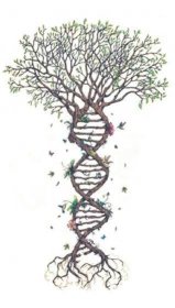 strom života tetování DNA