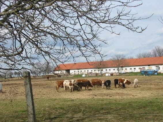 Lažánky | Fotogalerie