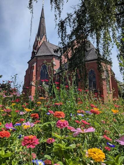 Pfarramt Paulus-Waldkirche