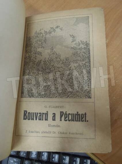 Kniha Bouvard a Pécuchet - román - Trh knih - online antikvariát