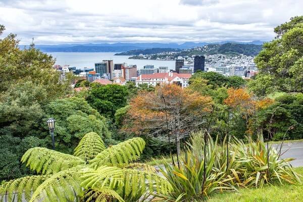 Top 10 Things to Do in Wellington, New Zealand