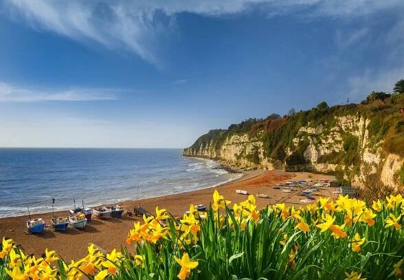The Benefits of a Spring Holiday in Devon - North Devon Resort