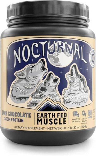 Best Casein Protein For Overnight Muscle Repair | Fit Muscle Plan