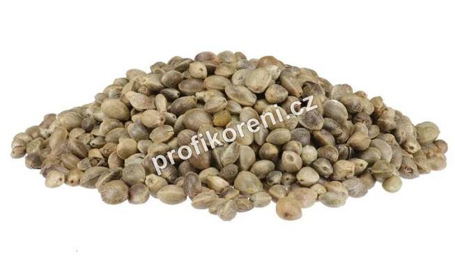 Konopné semínko neloupané (100g)