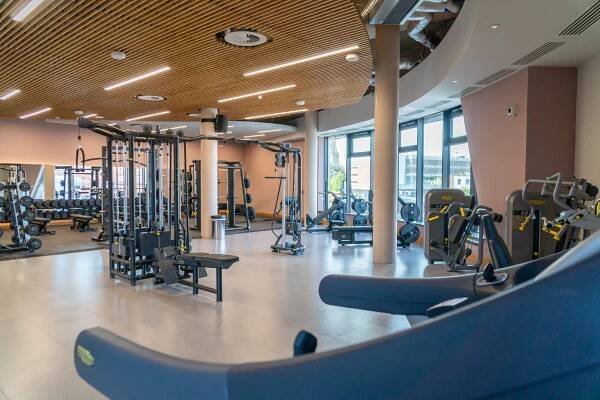 Gym Overview