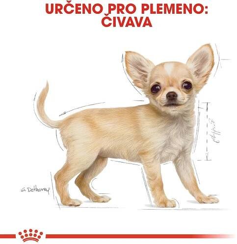 Royal Canin Čivava Puppy 500 g