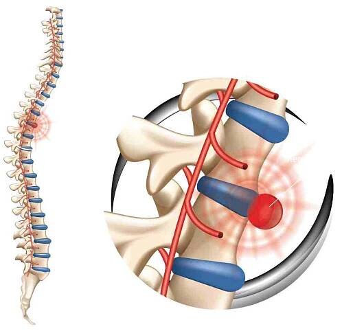 family chiropractors