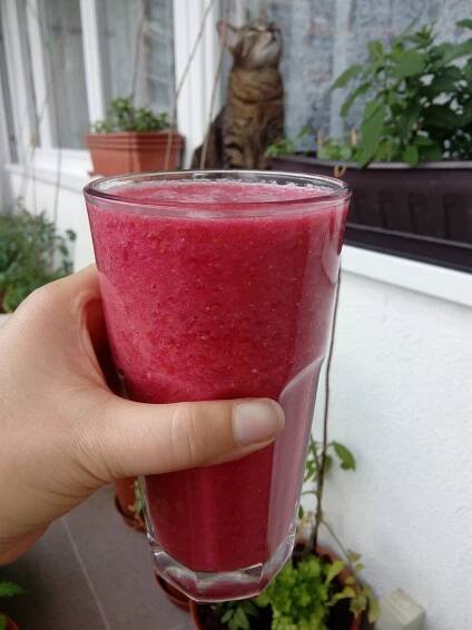 Koktejly / smoothie i ze salátu – vegdream.cz
