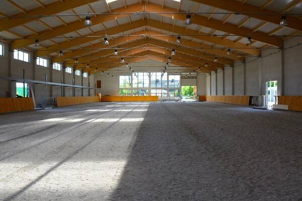 Galeria – WIECHECKI