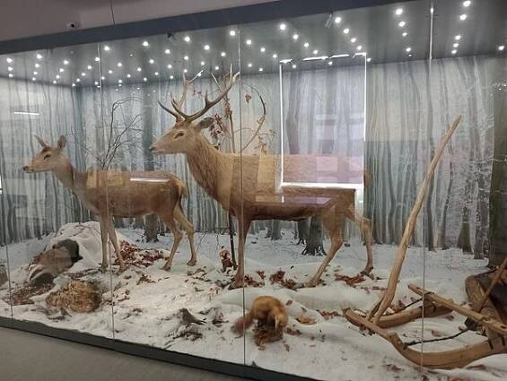 Muzeum Beskyd Frýdek-Místek foto 4