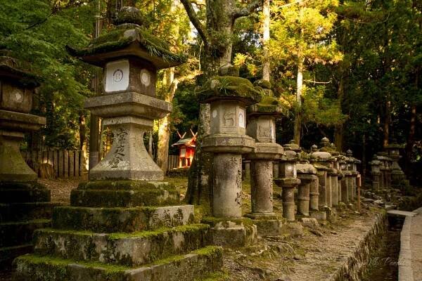 Stone Lanterns at Kasuga-Taisa